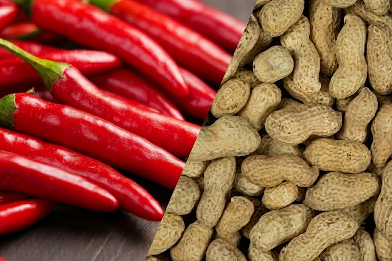 Red Chilli Farm