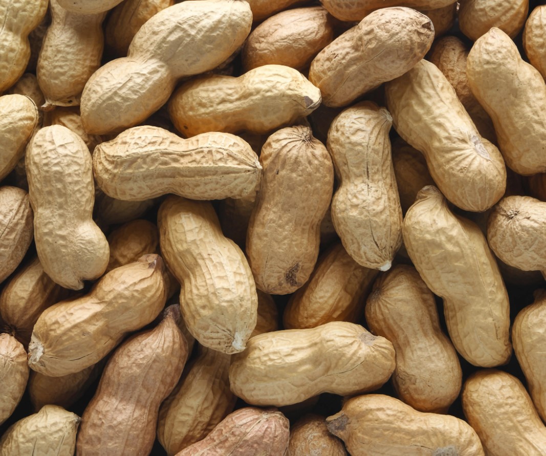 Raw Peanuts