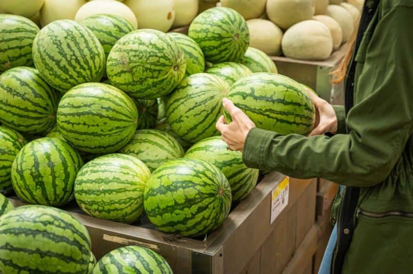 Fresh Watermelon